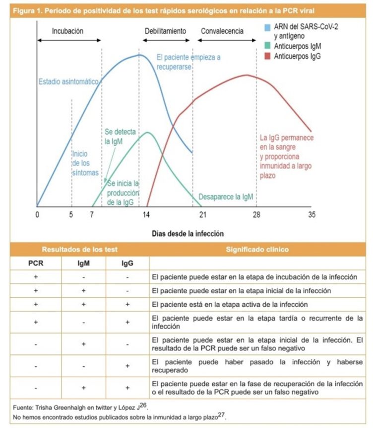 Lee más sobre el artículo Velusce suscipit quis luctus